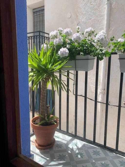 Appartement Casa Ziba Casco Antiguo Wifiaa *